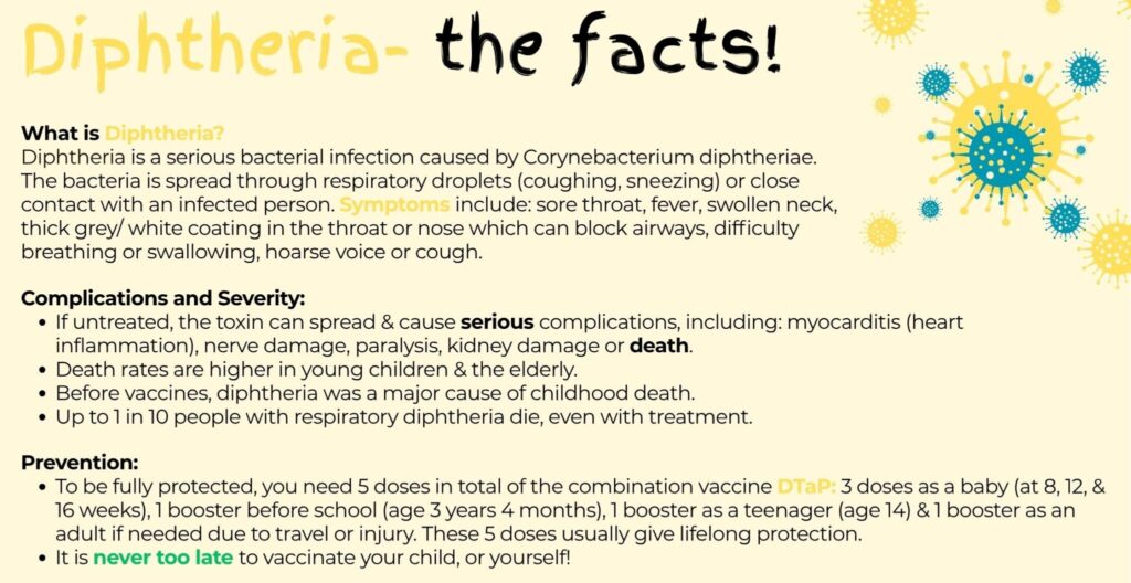 Diphtheria The Facts 2 E1769431828348 2048x1055