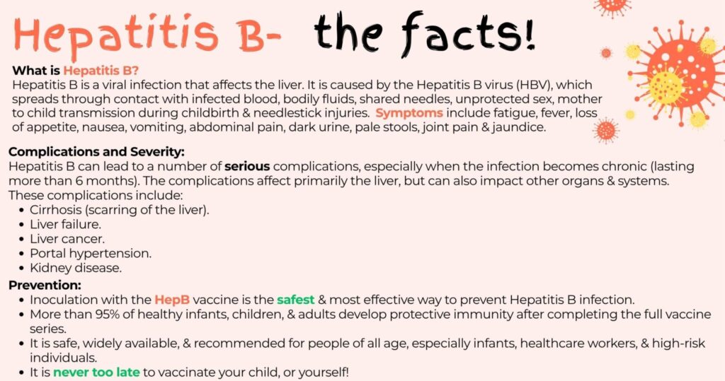 Hepatitis B The Facts 2 E1769431883389 2048x1078