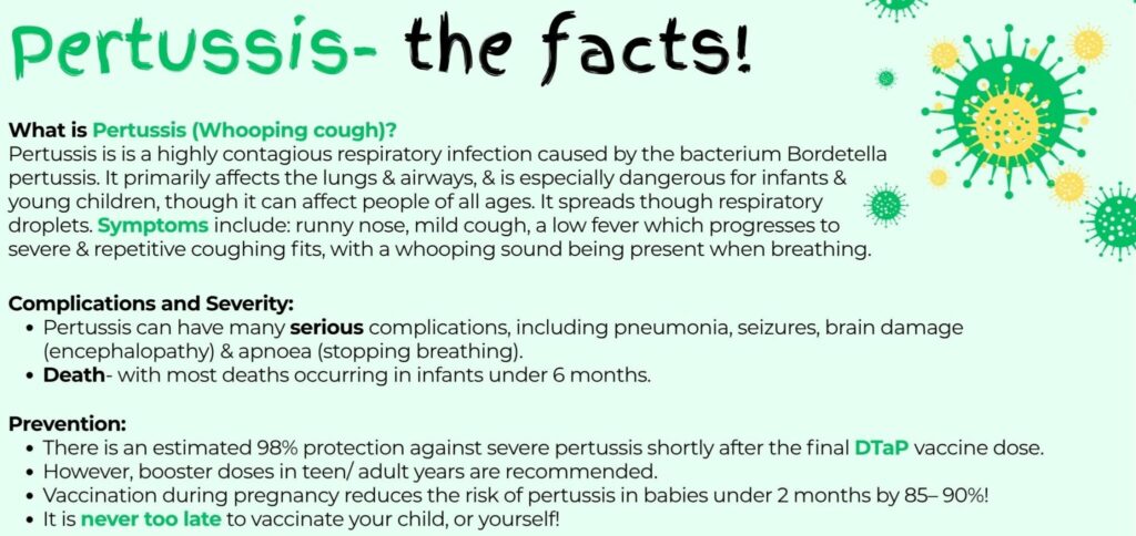 Pertussis The Facts 2 1 E1769432072900 2048x967