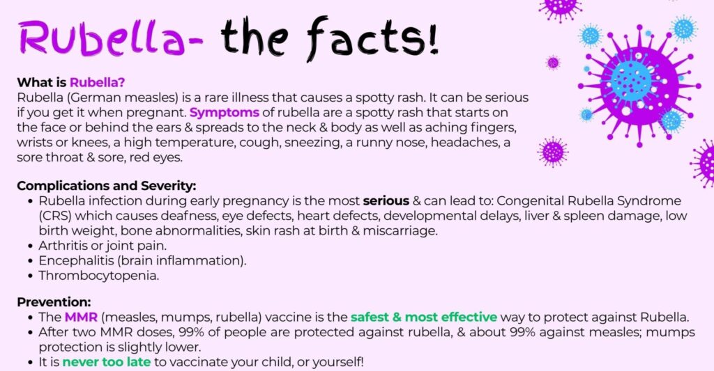 Rubella The Facts 2 E1769432202356 2048x1065